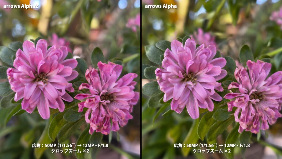 arrows Alpha2 arrows Alpha 作例 比較 ピンクの花