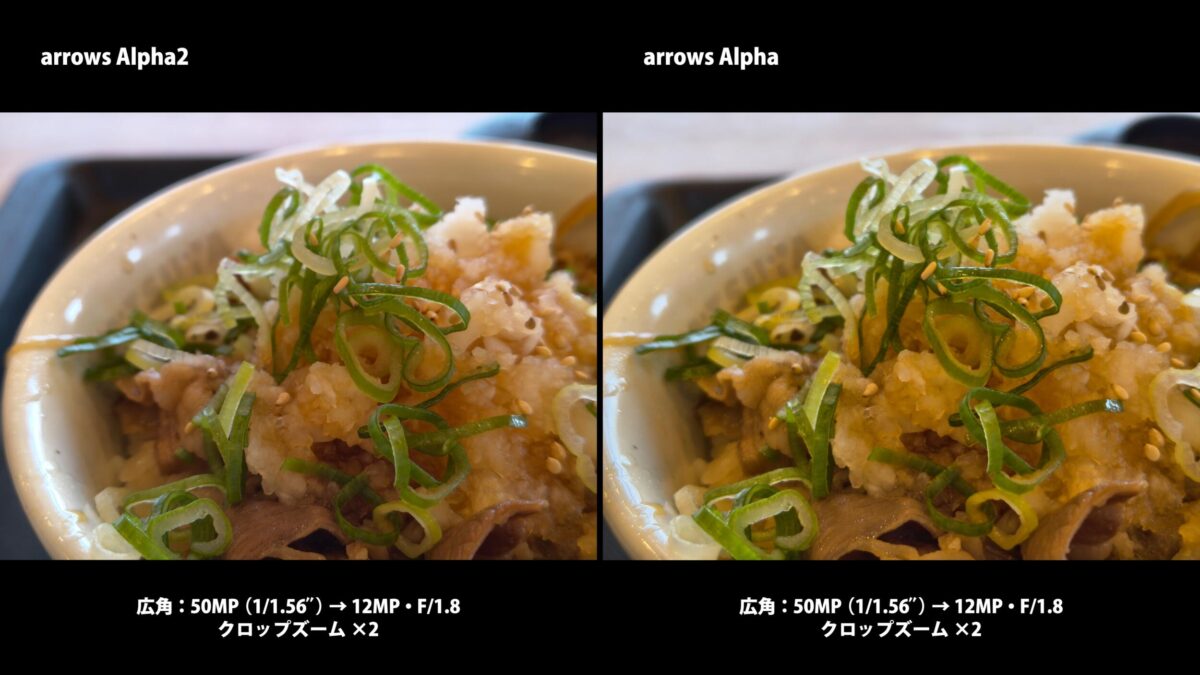 arrows Alpha2 arrows Alpha 作例 食事 比較 丼もの