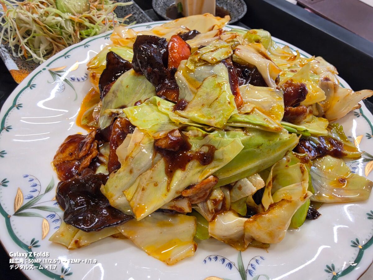 Galaxy Z Fold8 作例 回鍋肉