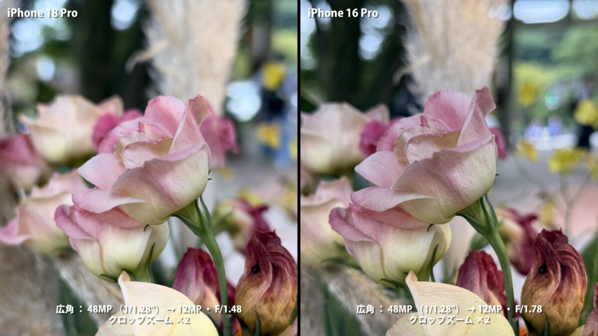 iPhone 18 Pro 広角 2倍 花 比較