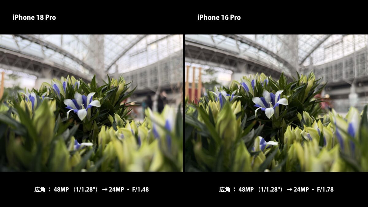 iPhone 18 Pro F1.48 背景ボケ 花 比較