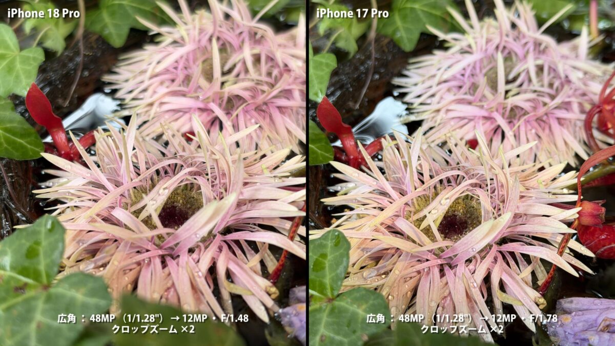 iPhone 18 Pro 作例 花 比較
