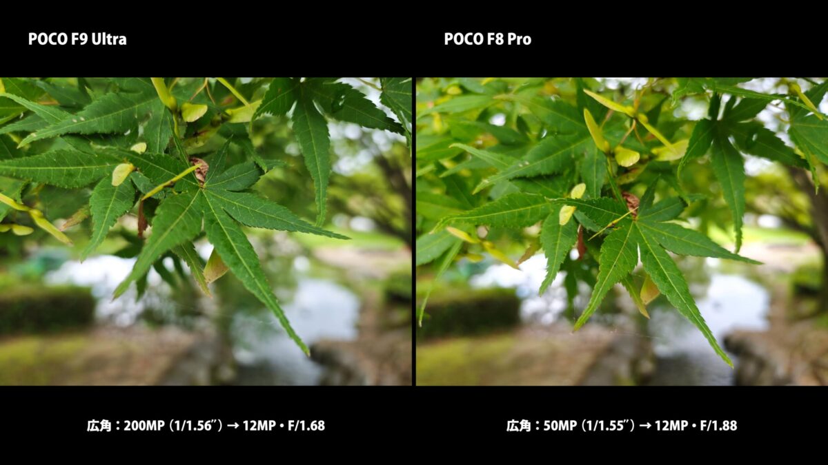 POCO F9 UltraとPOCO F8 Proのカメラ比較 葉のクローズアップ