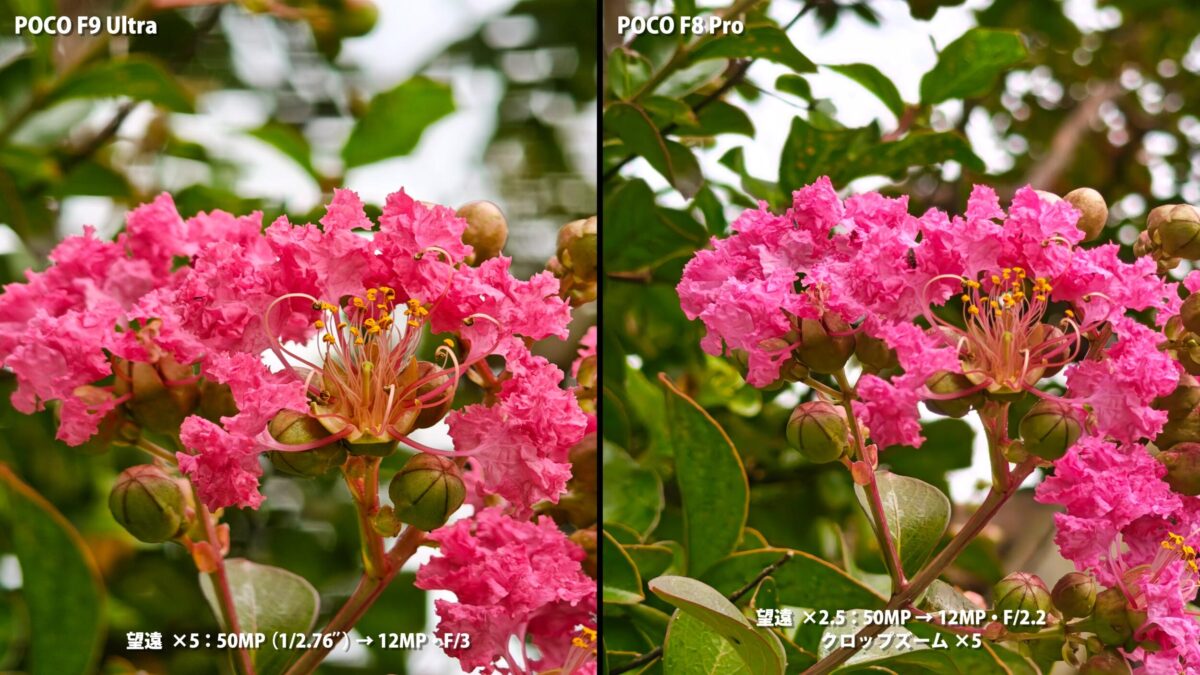 POCO F9 UltraとPOCO F8 Proのカメラ比較 望遠5倍で花を撮影