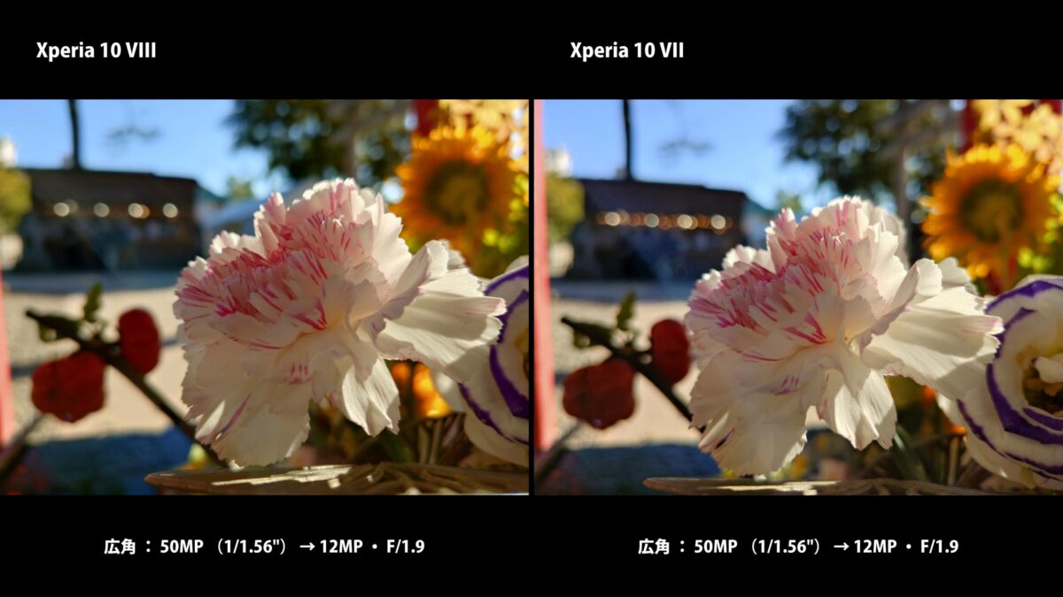 Xperia 10 VIII 作例 広角 花 比較
