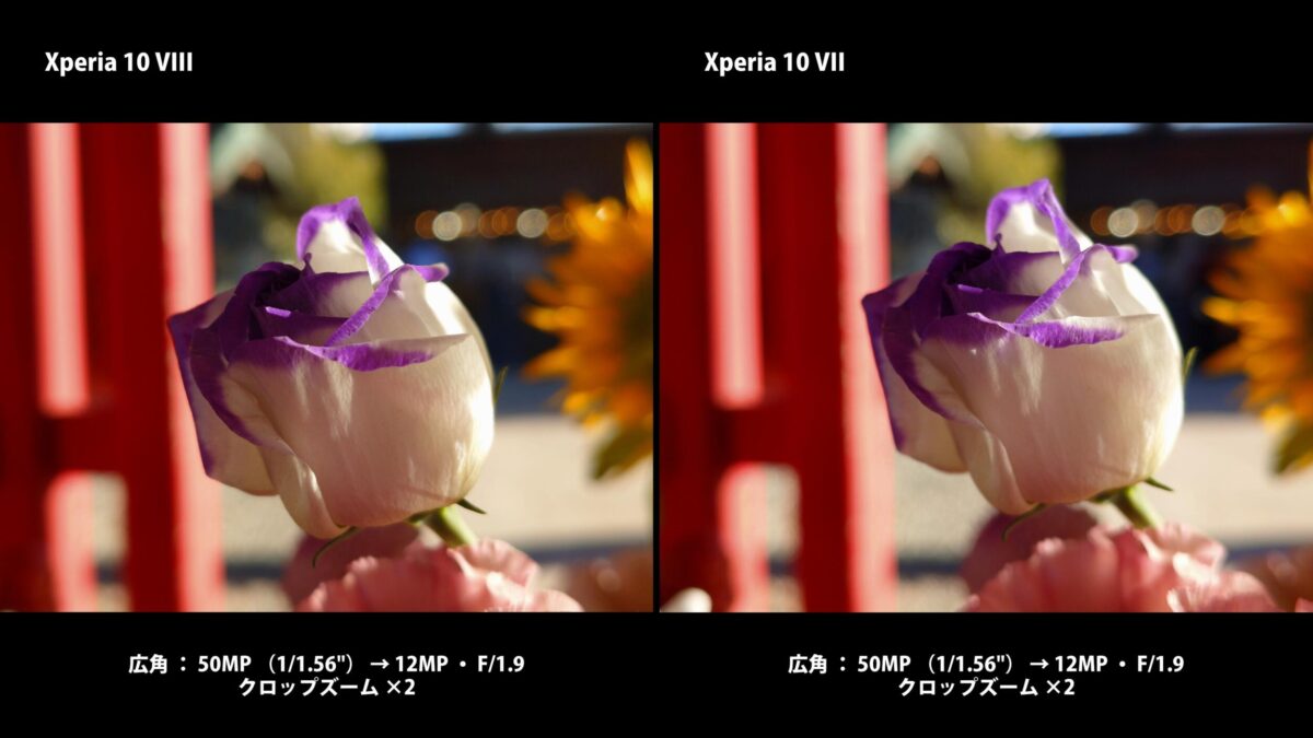 Xperia 10 VIII 作例 2倍 花 比較
