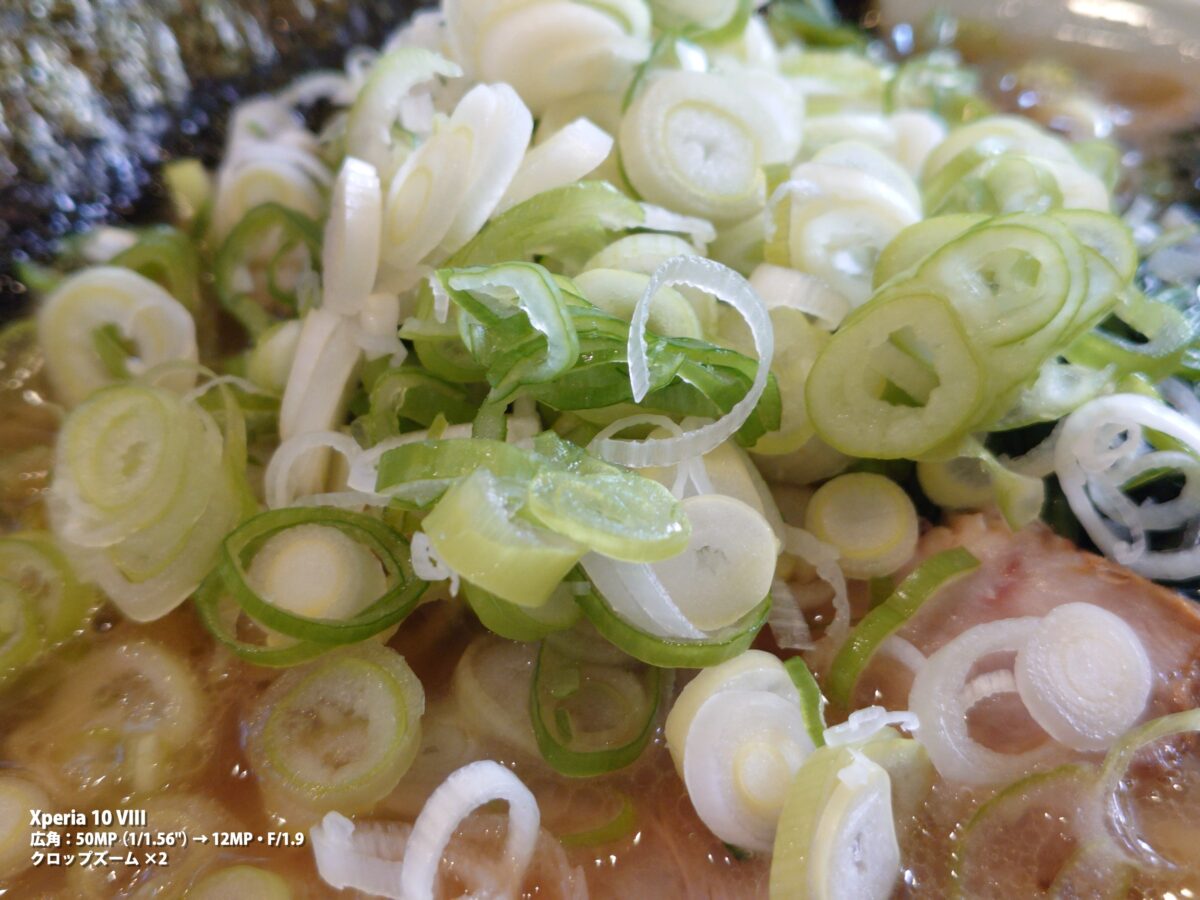 作例 ラーメン ネギ
