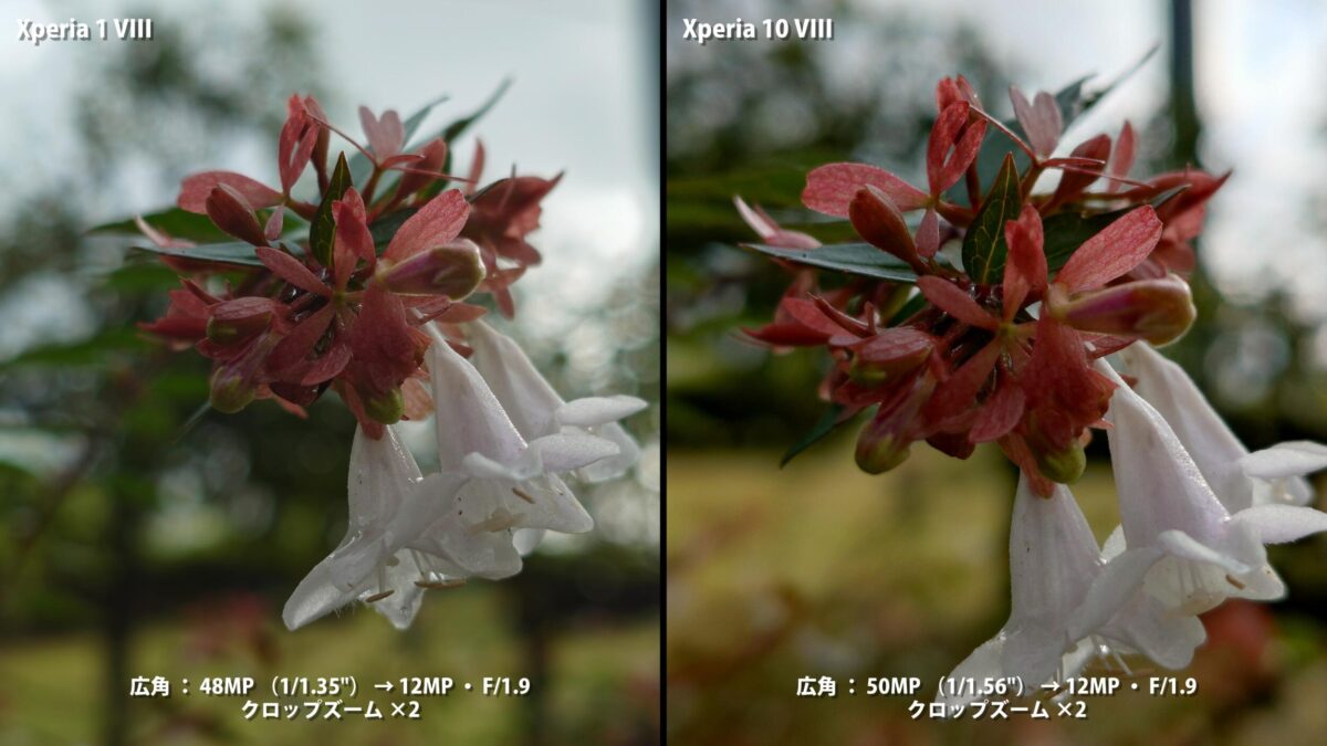 Xperia 1 VIII Xperia 10 VIII 広角 2倍 花 比較