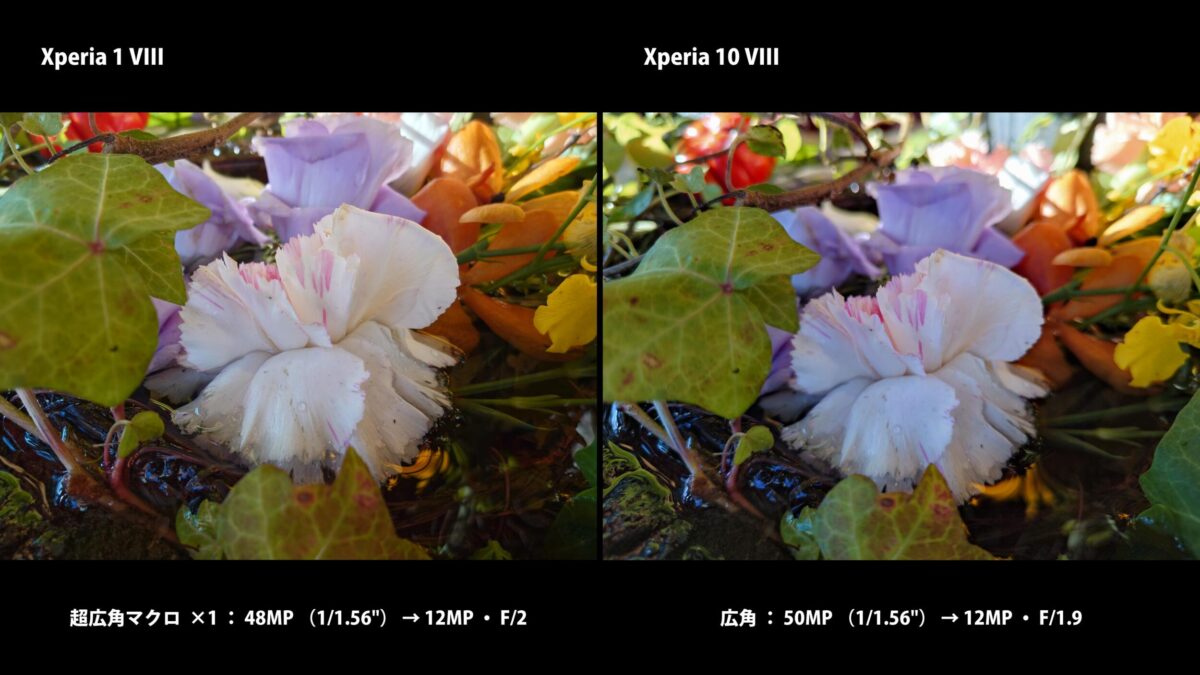 Xperia 1 VIII Xperia 10 VIII 超広角マクロ 比較